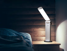 Load image into Gallery viewer, Daylight Twist 2 Lamp