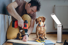 Load image into Gallery viewer, Daylight Twist 2 Lamp