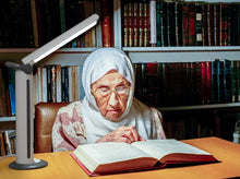 Load image into Gallery viewer, Daylight Twist 2 Lamp