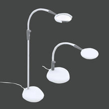 Load image into Gallery viewer, Daylight MAGnificent PRO 3-in-1 Magnifying Lamp