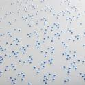 Sticky Braille Labels