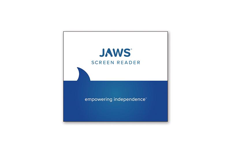 JAWS®  Professional